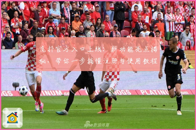 虎扑官方入口上线：新功能亮点揭秘，带你一步搞懂注册与使用教程