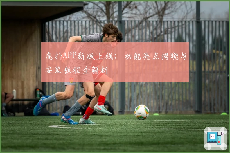 虎扑APP新版上线：功能亮点揭晓与安装教程全解析