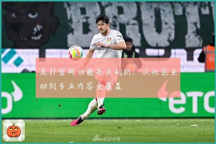 虎扑官网功能亮点剖析：从社区互动到专业内容全覆盖
