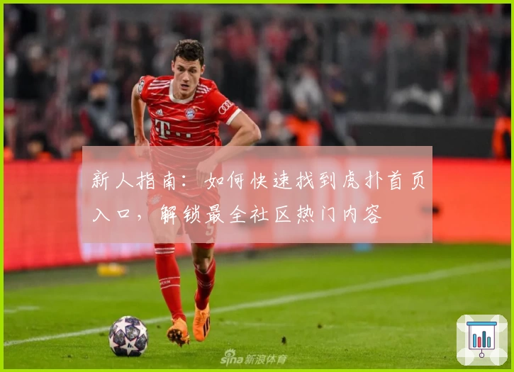 新人指南:如何快速找到虎扑首页入口,解锁最全社区热门内容