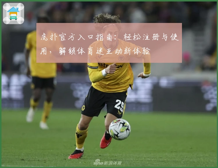 虎扑官方入口指南：轻松注册与使用，解锁体育迷互动新体验