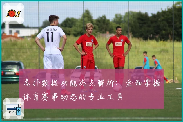虎扑数据功能亮点解析：全面掌握体育赛事动态的专业工具