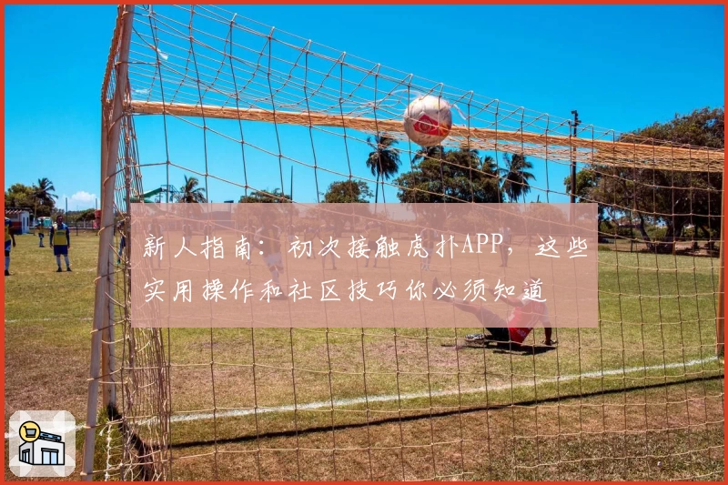 新人指南：初次接触虎扑APP，这些实用操作和社区技巧你必须知道
