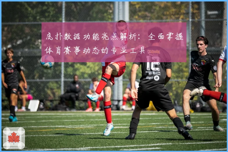 虎扑数据功能亮点解析：全面掌握体育赛事动态的专业工具