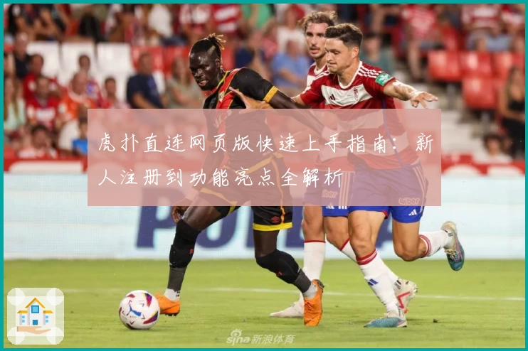 虎扑直连网页版快速上手指南：新人注册到功能亮点全解析