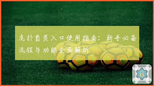 虎扑首页入口使用指南：新手必备流程与功能全面解析